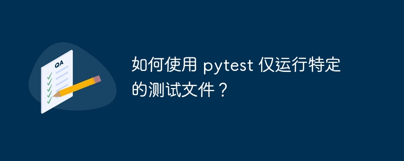 如何使用 pytest 仅运行特定的测试文件？