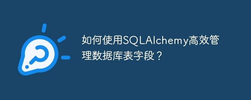 如何使用SQLAlchemy高效管理数据库表字段？
