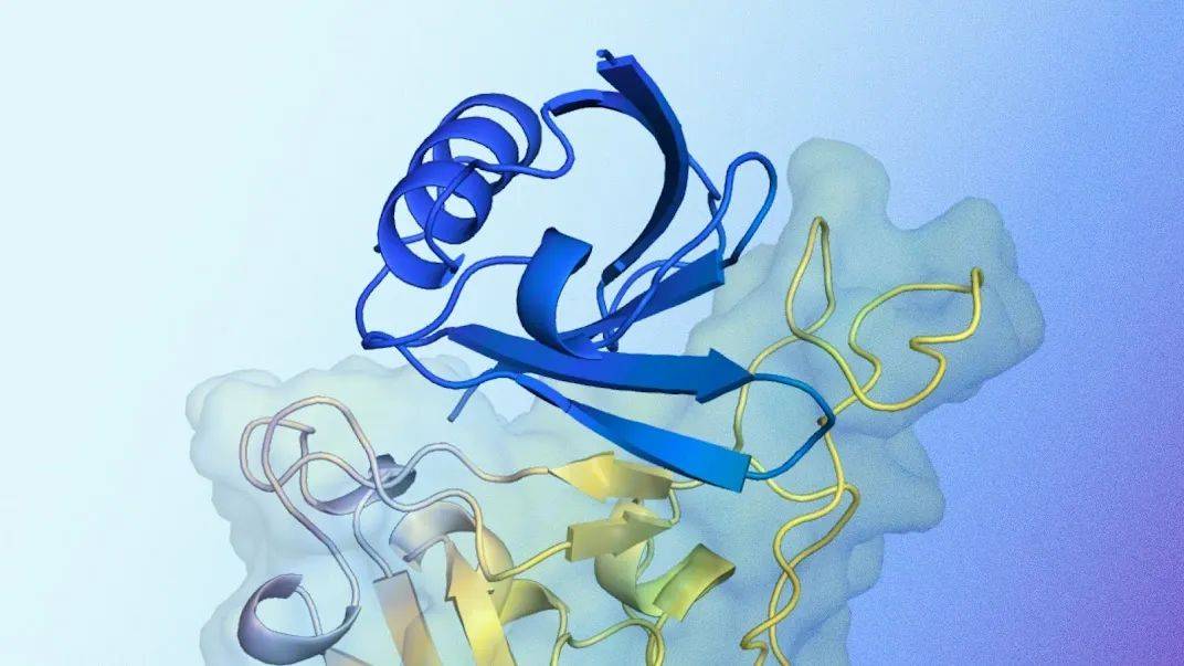 DeepMind蛋白质设计新工具AlphaProteo，从头设计高亲和力蛋白结合剂，成功率最高88％