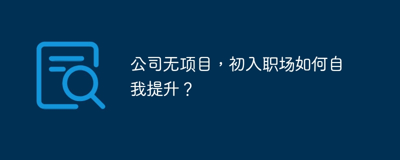 公司无项目,初入职场如何自我提升?