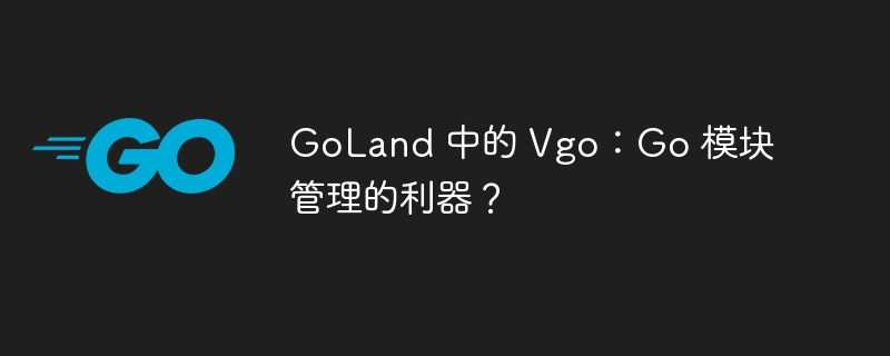 GoLand 中的 Vgo：Go 模块管理的利器？