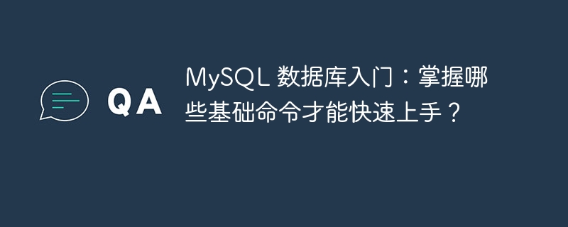 MySQL 数据库入门：掌握哪些基础命令才能快速上手？