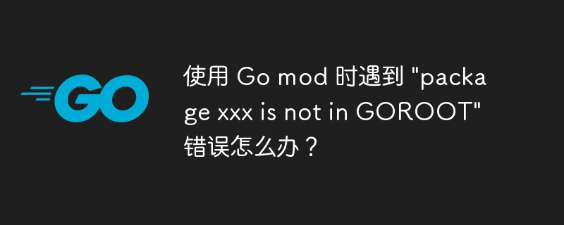 使用 Go mod 时遇到 \
