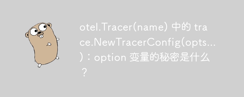 otel.Tracer(name) 中的 trace.NewTracerConfig(opts...)：option 变量的秘密是什么？