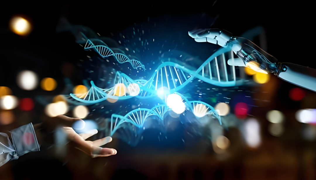 效率提高近百倍，山大团队AI新方法解析复杂器官空间组学，登Nature子刊