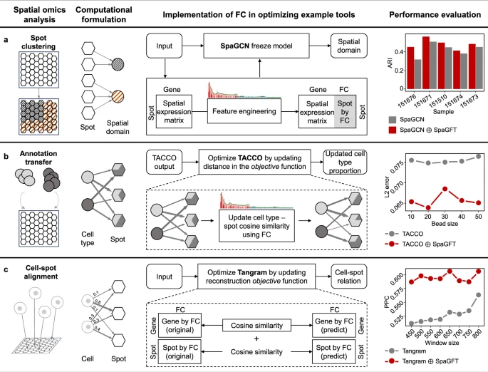 效率提高近百倍，山大团队AI新方法解析复杂器官空间组学，登Nature子刊