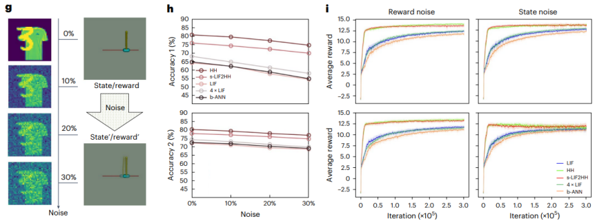 Nature子刊 | 基于内生复杂性，自动化所新类脑网络构筑人工智能与神经科科学的桥梁