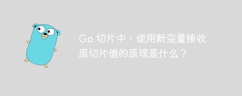 Go 切片中，使用新变量接收原切片值的原理是什么？