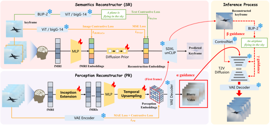 NeurIPS 2024 Oral | 还原所见!揭秘从脑信号重建高保真流畅视频