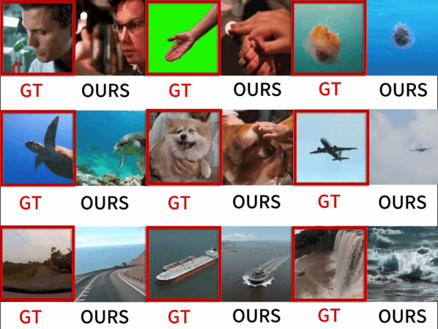 NeurIPS 2024 Oral | 还原所见!揭秘从脑信号重建高保真流畅视频