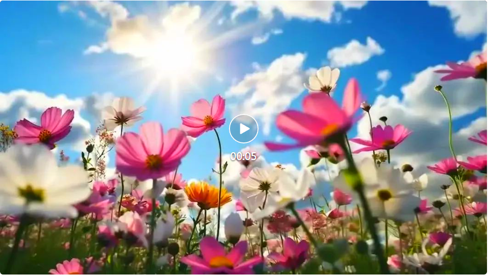 RTX 4090可跑、完全开源,最快视频生成模型问世,实测一言难尽