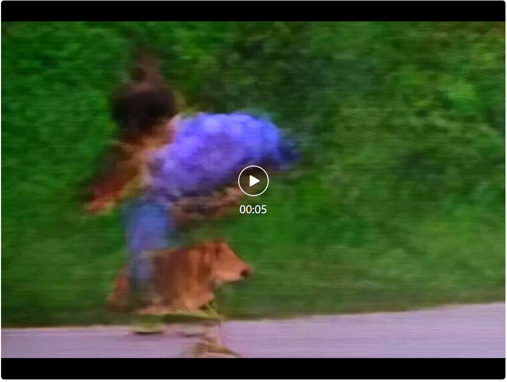 RTX 4090可跑、完全开源,最快视频生成模型问世,实测一言难尽