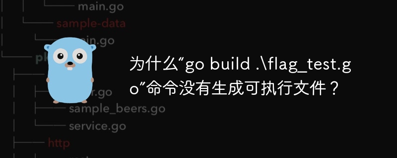 为什么“go build .\flag_test.go”命令没有生成可执行文件？