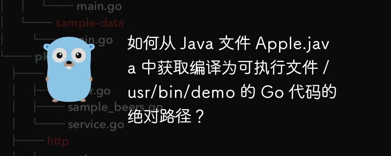 如何从 Java 文件 Apple.java 中获取编译为可执行文件 /usr/bin/demo 的 Go 代码的绝对路径？