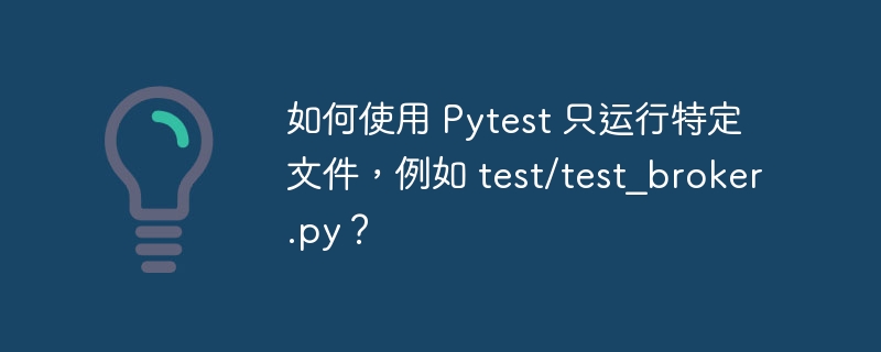如何使用 Pytest 只运行特定文件,例如 test/test_broker.py?