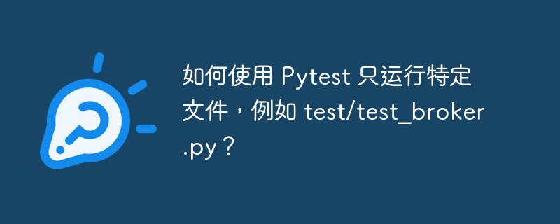 如何使用 Pytest 只运行特定文件，例如 test/test_broker.py？