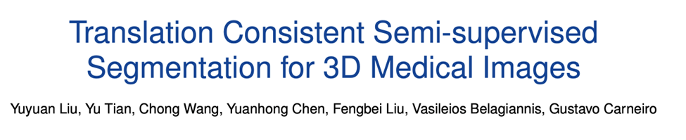 TMI2024 | 阿大、同济等提出TraCoCo，用于3D医学图像半监督分割
