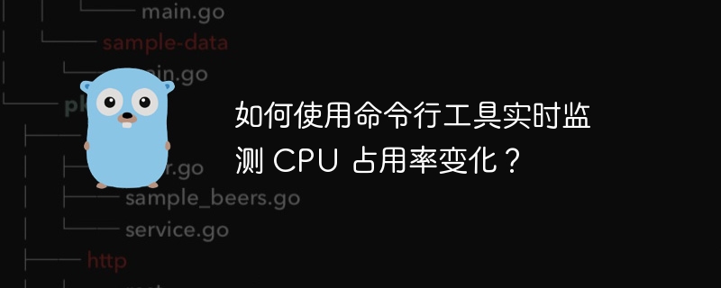 如何使用命令行工具实时监测 CPU 占用率变化?