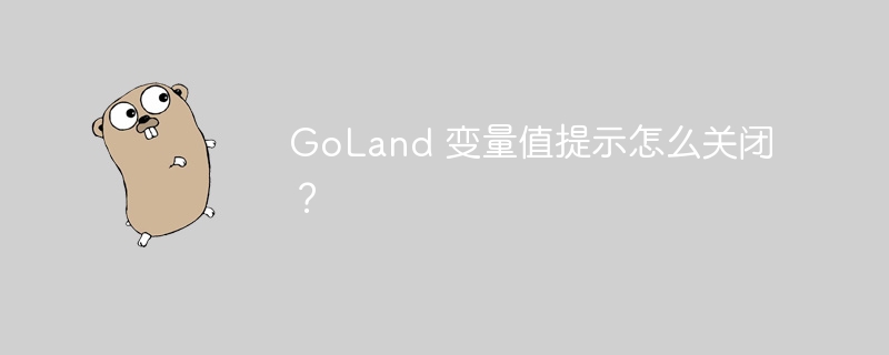 GoLand 变量值提示怎么关闭?
