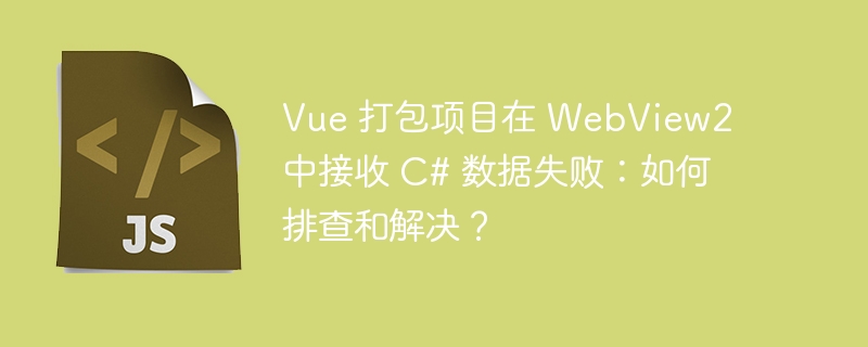 Vue 打包项目在 WebView2 中接收 C# 数据失败：如何排查和解决？