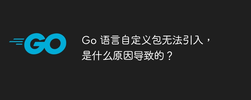 Go 语言自定义包无法引入,是什么原因导致的?