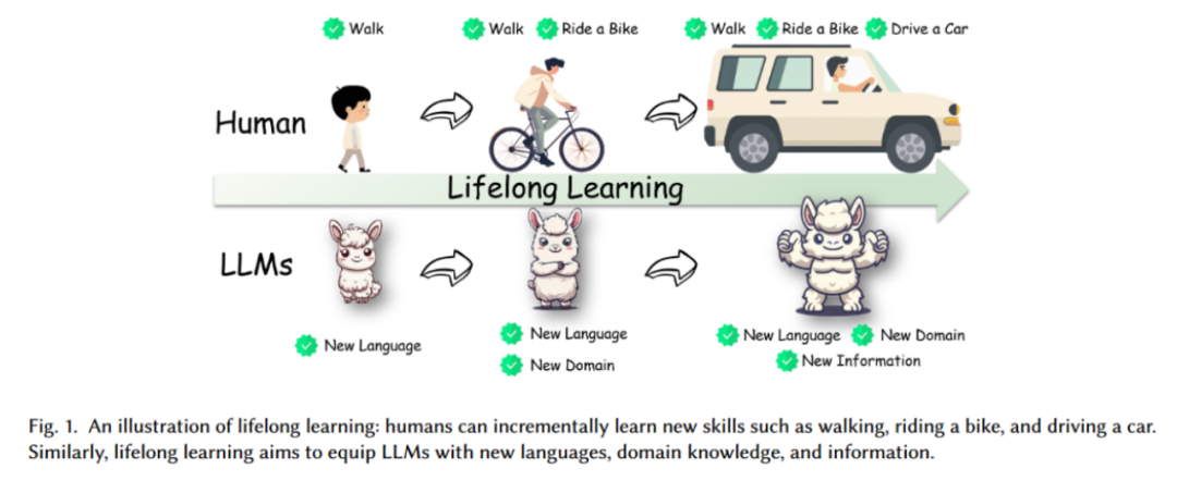 整合 200 多项相关研究,大模型「终生学习」最新综述来了