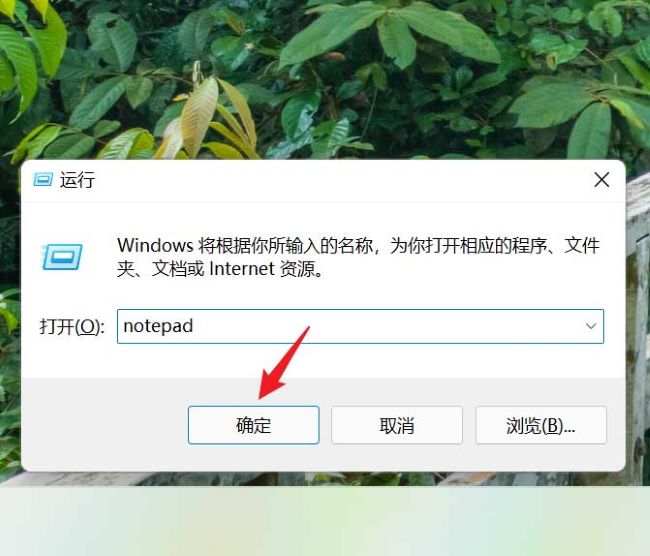 Win11怎么更改记事本字体大小 Win11更改记事本字体大小方法