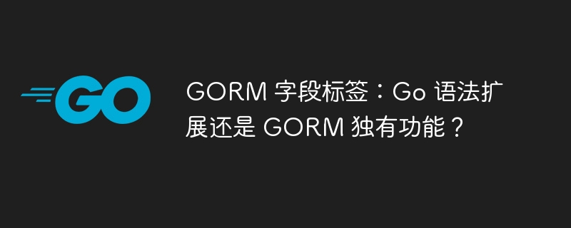 GORM 字段标签:Go 语法扩展还是 GORM 独有功能?