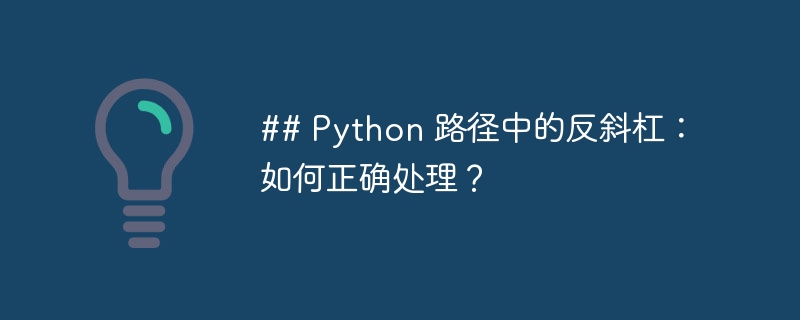 ## Python 路径中的反斜杠：如何正确处理？