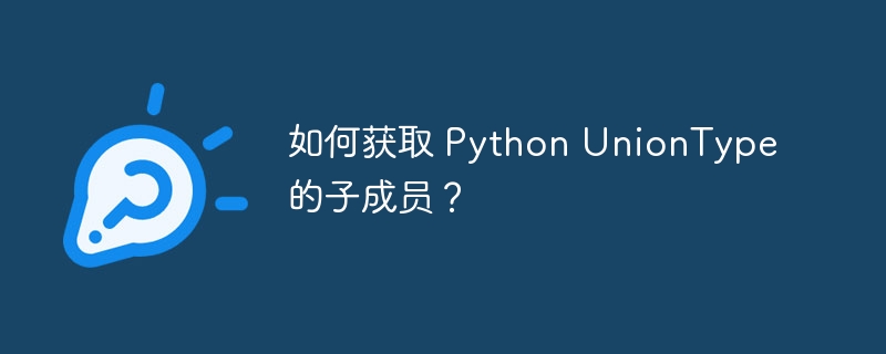 如何获取 Python UnionType 的子成员？
