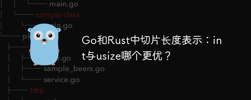 Go和Rust中切片长度表示：int与usize哪个更优？