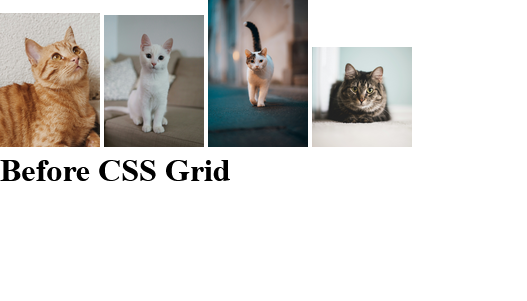 CSS 并不难(你只是缺少这些基础知识)- 掌握基础(第 2 部分)