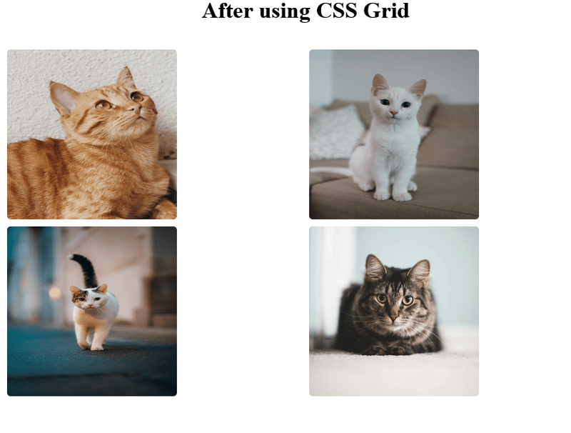 CSS 并不难(你只是缺少这些基础知识)- 掌握基础(第 2 部分)