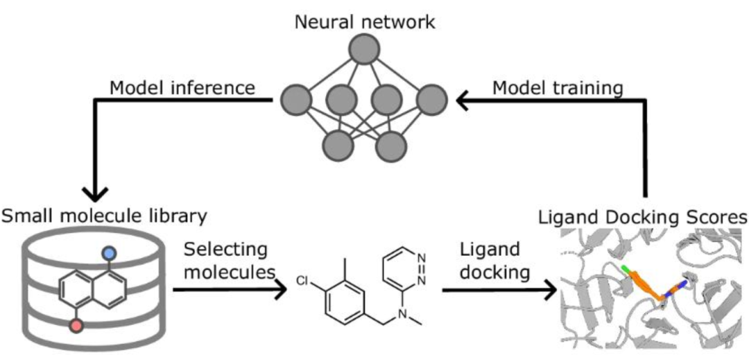 筛选数十亿化合物库,华盛顿大学药物AI虚拟筛选平台,登Nature子刊
