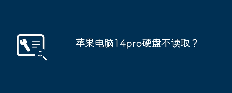 苹果电脑14pro硬盘不读取？