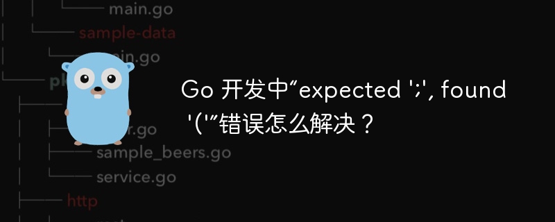 Go 开发中“expected ';', found '('”错误怎么解决？