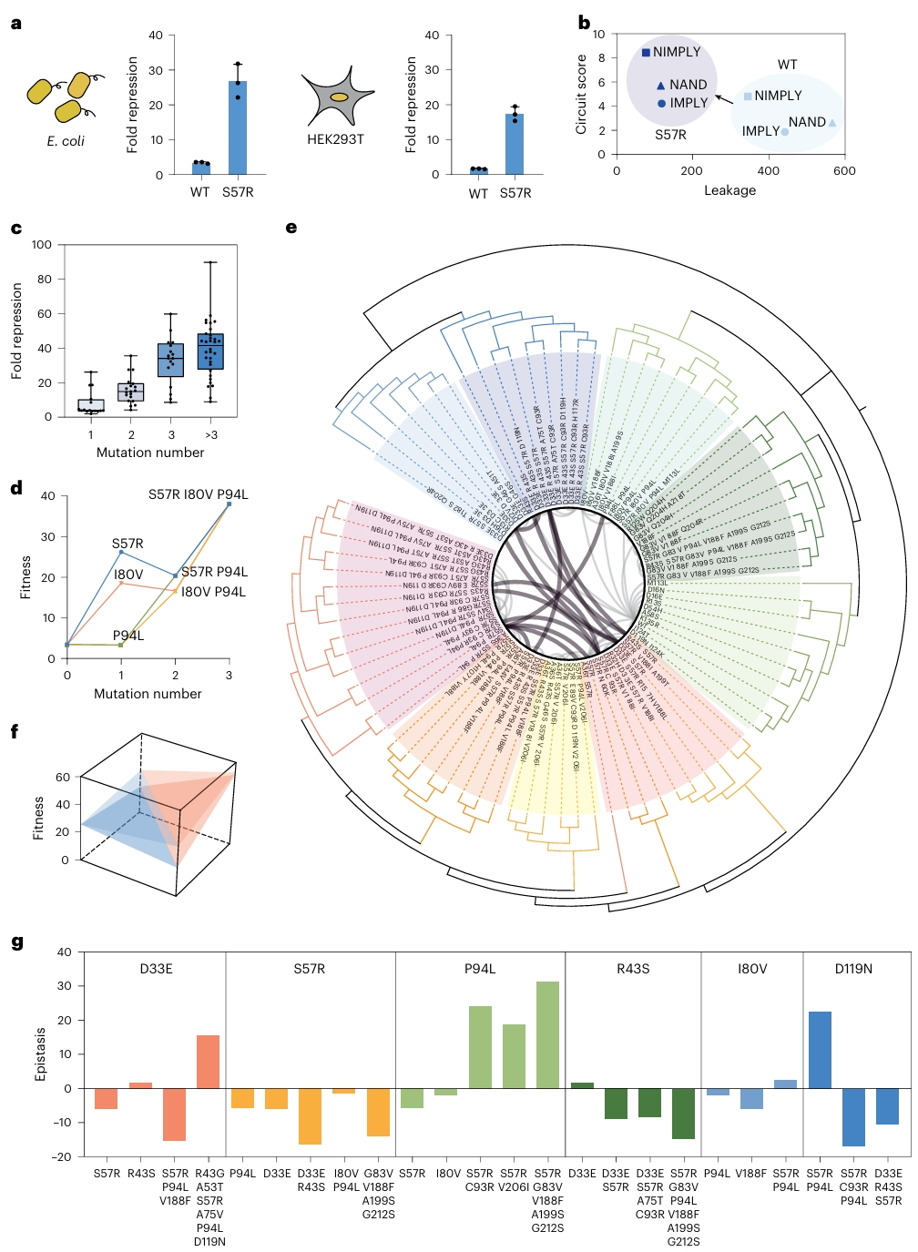 压缩率达10的48次方，实现蛋白序列空间极端压缩，清华EvoAI登Nature子刊
