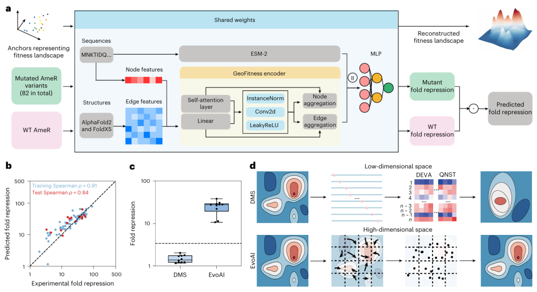 压缩率达10的48次方，实现蛋白序列空间极端压缩，清华EvoAI登Nature子刊
