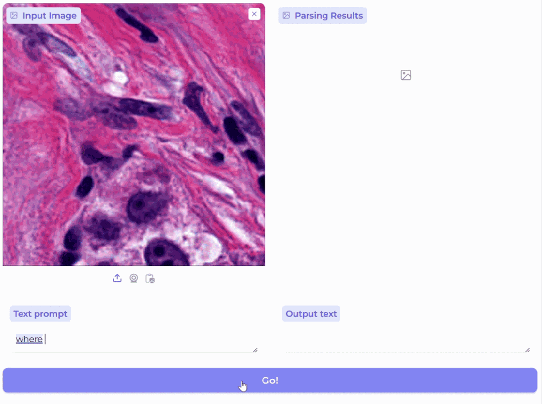 九大成像模式一键解析,生物医学图像AI再迎突破!微软、UW等BiomedParse登Nature子刊