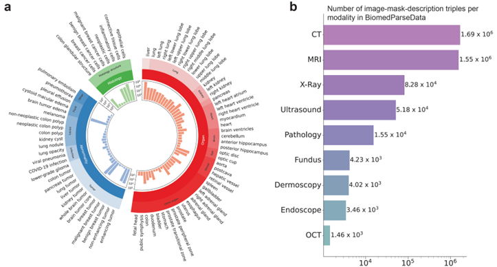 九大成像模式一键解析,生物医学图像AI再迎突破!微软、UW等BiomedParse登Nature子刊