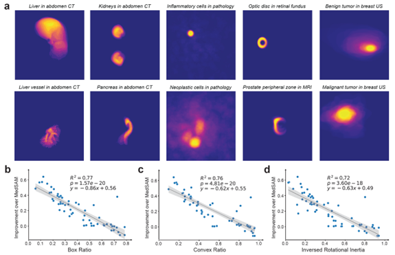 九大成像模式一键解析,生物医学图像AI再迎突破!微软、UW等BiomedParse登Nature子刊