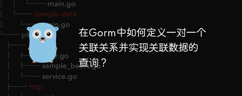 在Gorm中如何定义一对一个关联关系并实现关联数据的查询？
