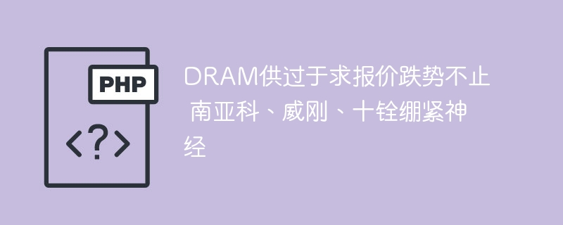 DRAM供过于求报价跌势不止 南亚科、威刚、十铨绷紧神经