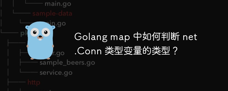 Golang map 中如何判断 net.Conn 类型变量的类型？