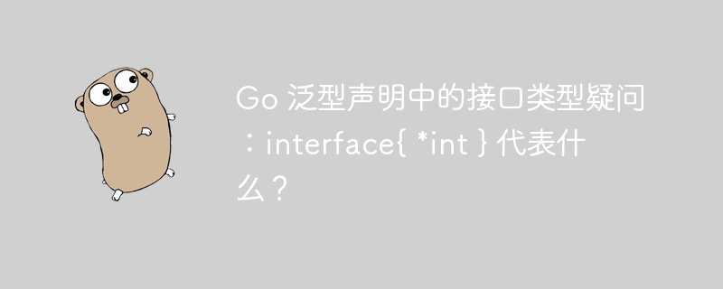 Go 泛型声明中的接口类型疑问：interface{ *int } 代表什么？