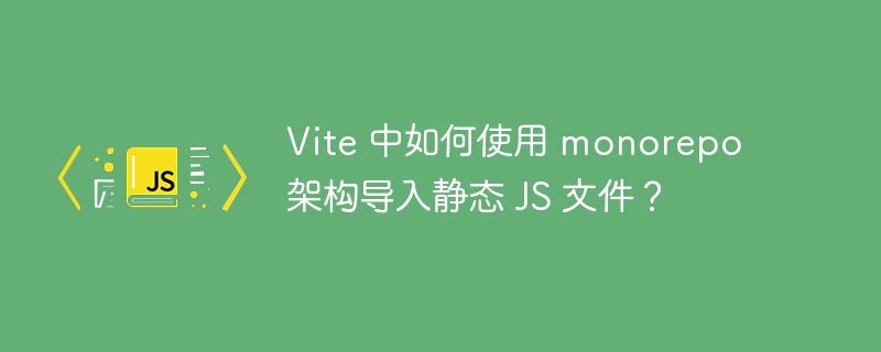 Vite 中如何使用 monorepo 架构导入静态 JS 文件？
