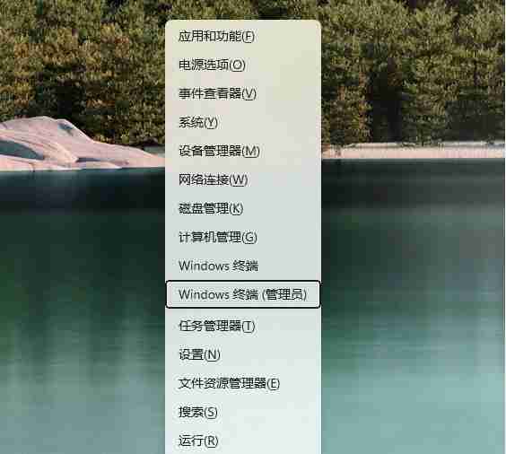 微软应用商店怎么更新 win11系统更新应用商店的方法教程