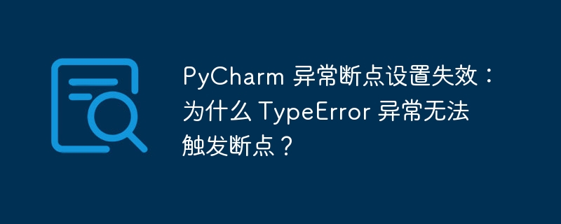 PyCharm 异常断点设置失效：为什么 TypeError 异常无法触发断点？