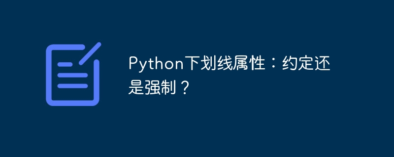 Python下划线属性:约定还是强制?