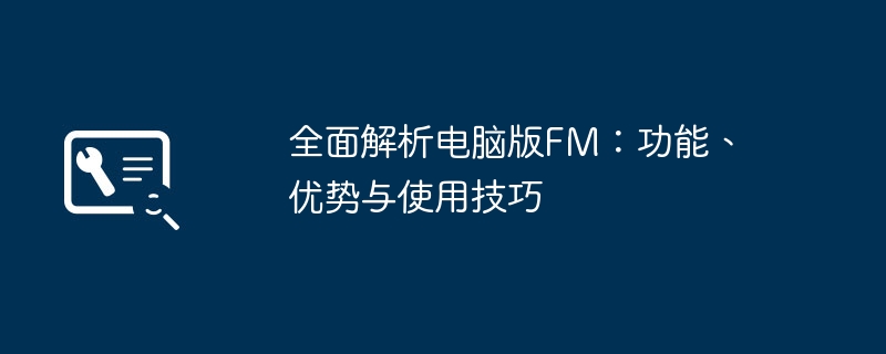 全面解析电脑版FM：功能、优势与使用技巧